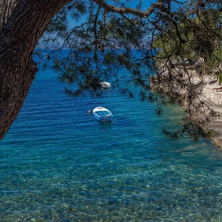 Zastupac 8761c Apartament *