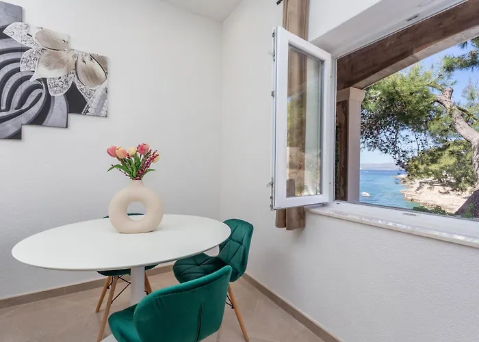 Zastupac 8761c Apartament