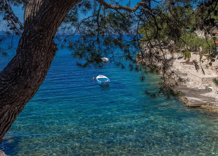 Zastupac 8761c Apartament *